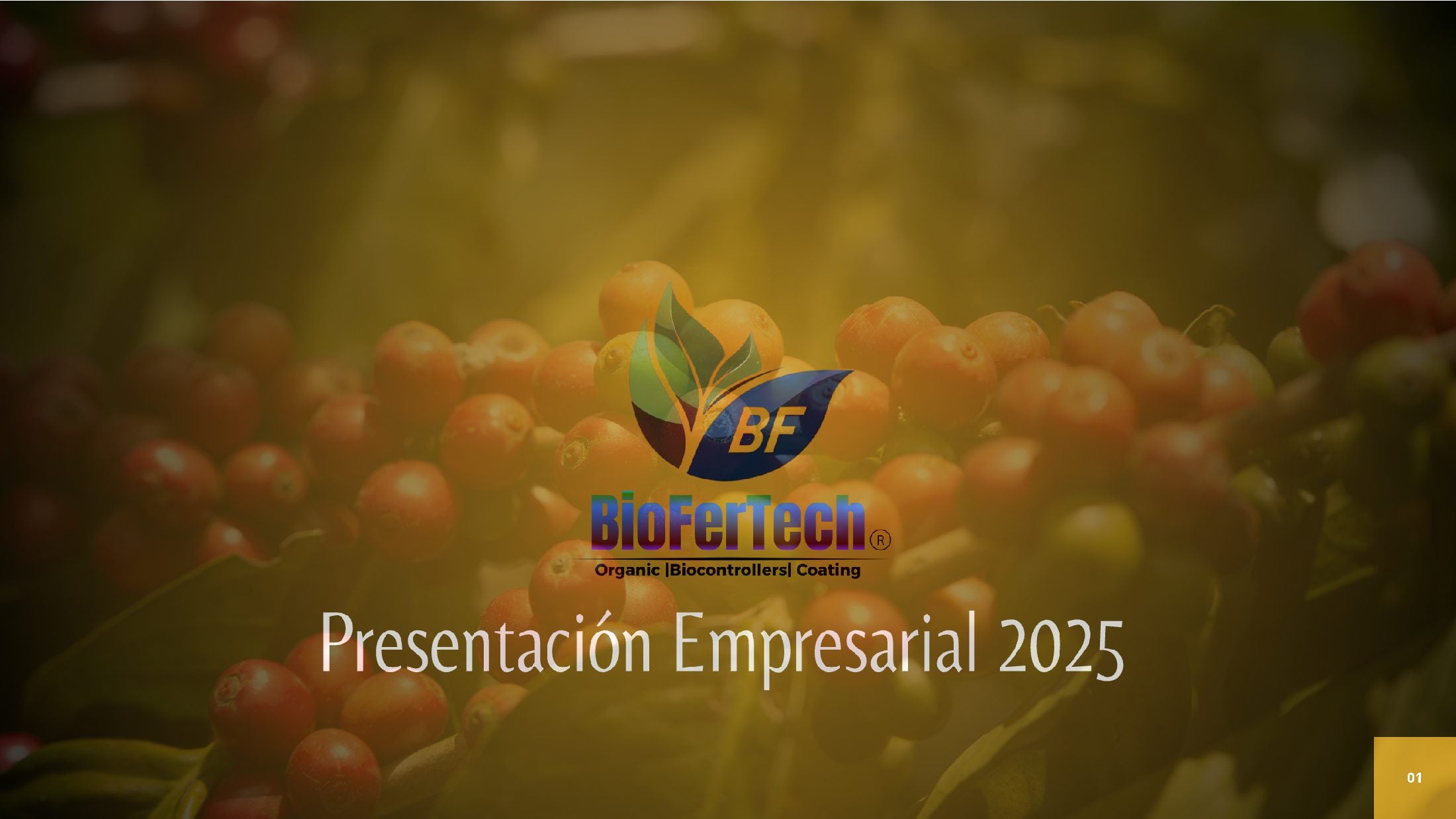 Portada de la presentación empresarial BioFerTech 2025